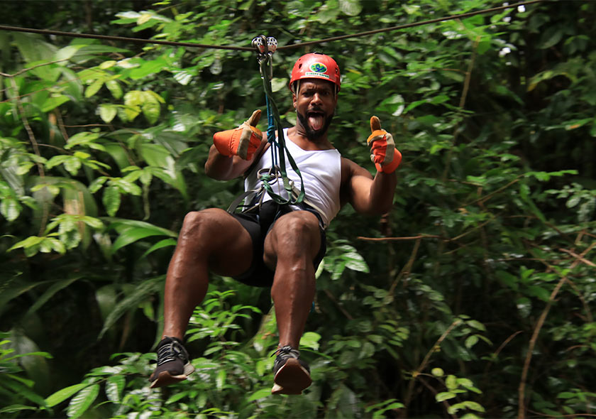 Canopy Zip Line