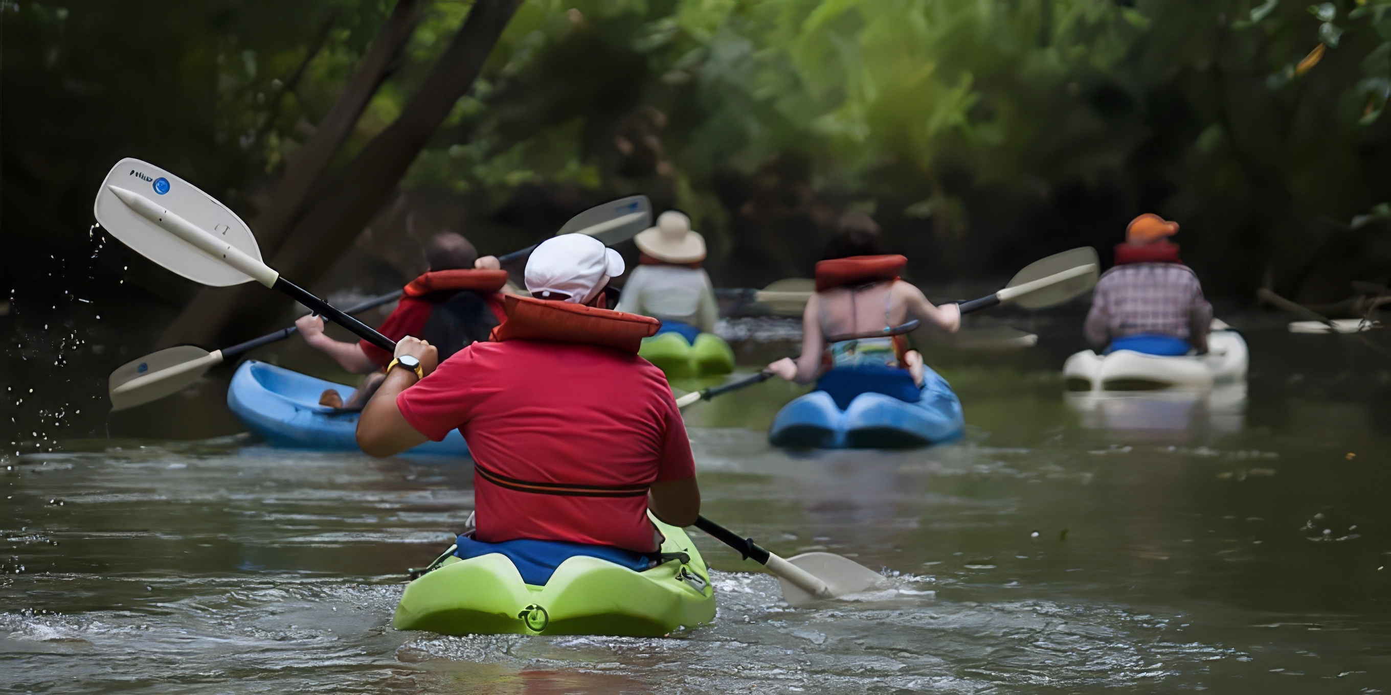 Damas Island Mangrove Tour by Kayak