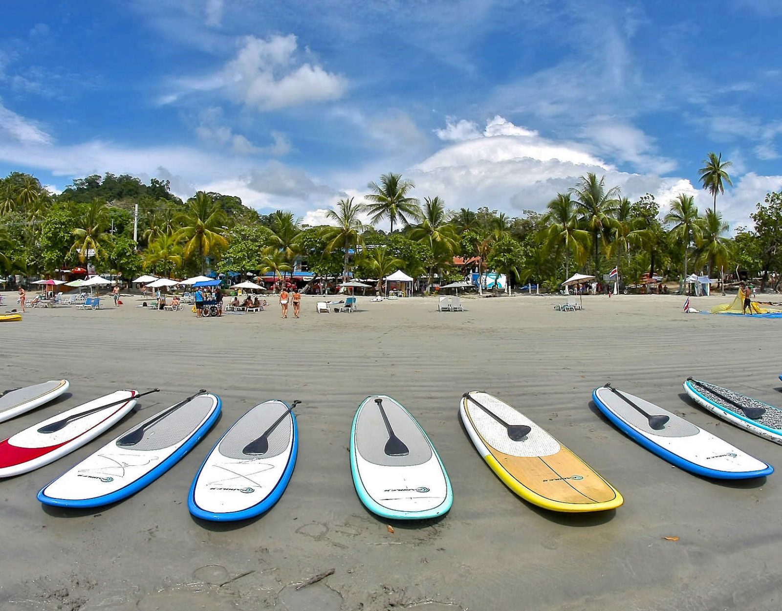 Ocean Paddle Boarding