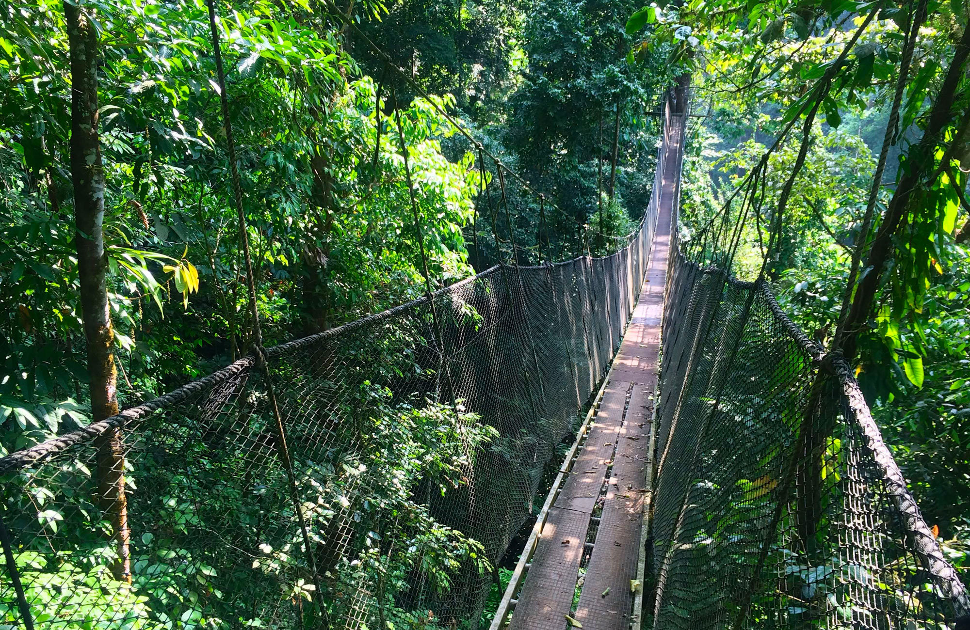 Rainmaker Reserve