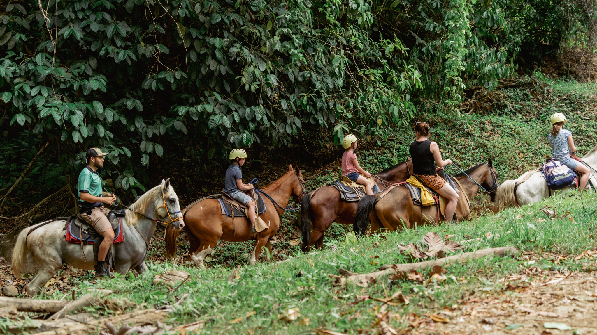 Horseback Riding - Mountain Tour
