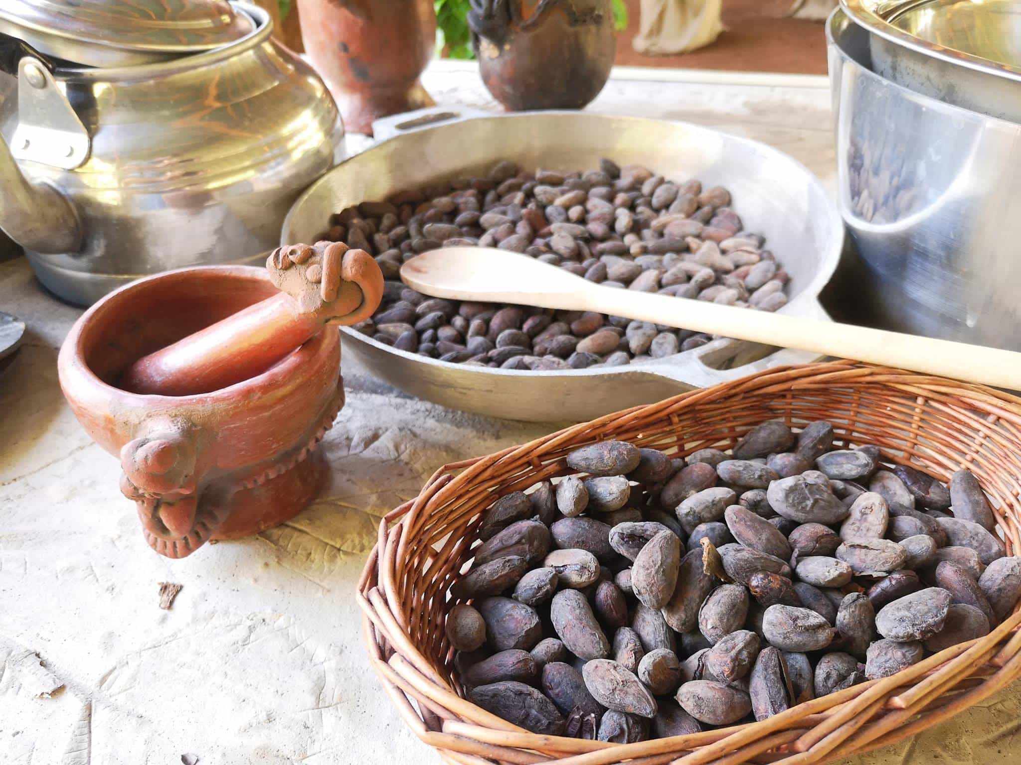 Chocolate, Coffee and Sugar Cane Tour