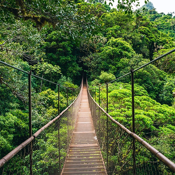 Traslado Monteverde