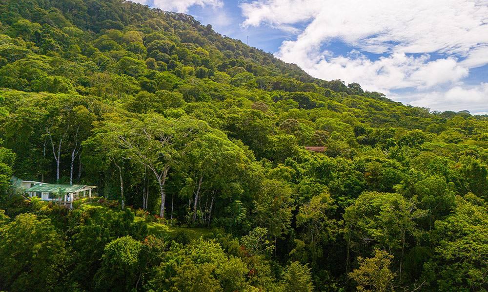 Casa Frenchie & Guest House