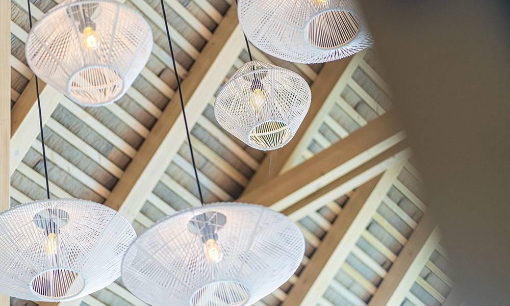 Casa Frenchie & Guest House