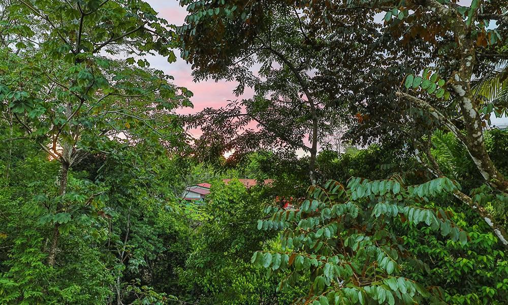 Casa Elena Luxury Villa